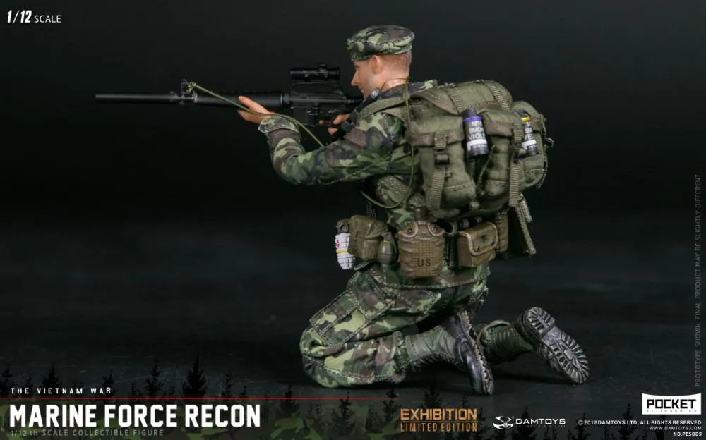 New In Stock! DAMTOYS 1/12 Pocket Elite Series - Marine Force Recon Vietnam PES009