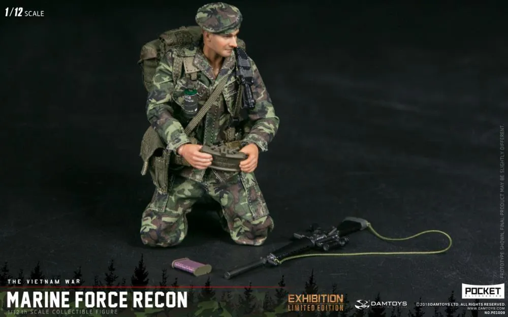 New In Stock! DAMTOYS 1/12 Pocket Elite Series - Marine Force Recon Vietnam PES009